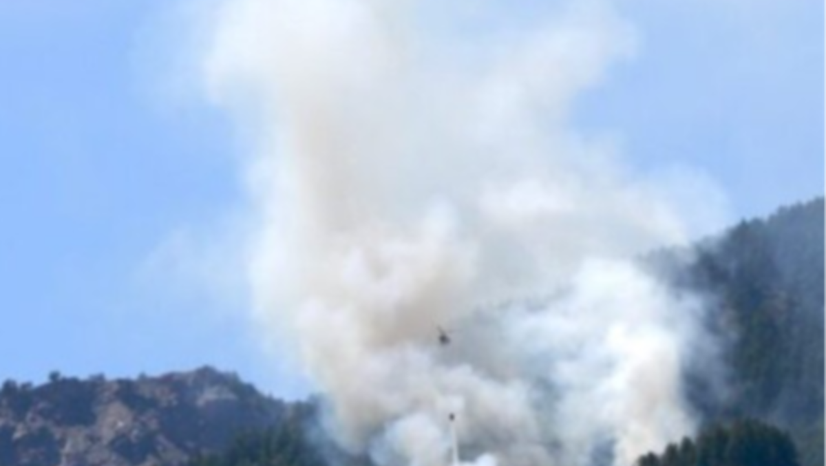 Incendio sul Monte Giaf, fumo e odore di bruciato in tutto il comune - 