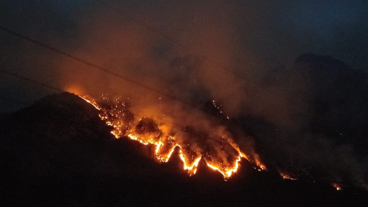 «Più Canadair e meno armi»: sui social esplode la rabbia mentre brucia l’Amariana  - 