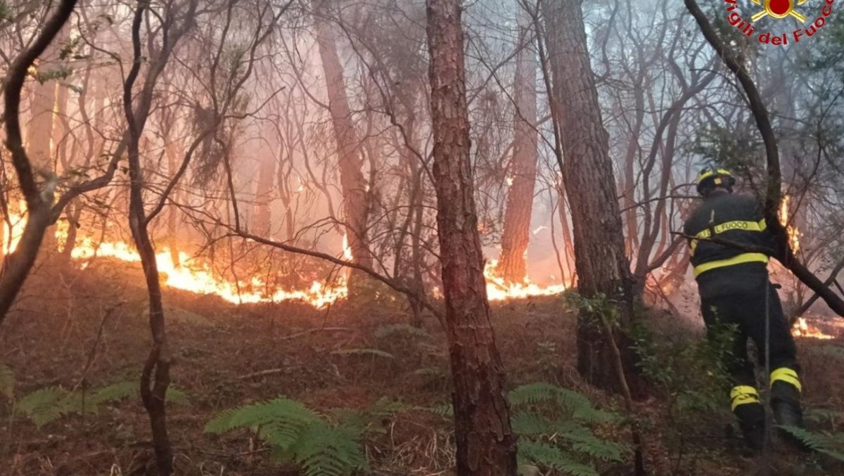 Appicca incendi e scappa: piromane 51enne fermato con gli accendini - 