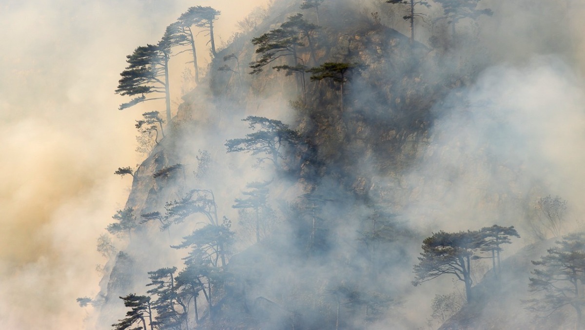 Fumo troppo denso sull’Amariana: Canadair dirottato, arrivano 3 aerei dalla Slovenia - 