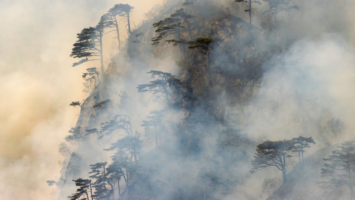 Incendi in Carnia, Amariana ancora critica: niente lanci dal Canadair, rinforzi aerei dalla Slovenia - 