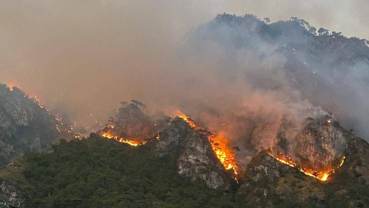 Incendi in FVG, Fedriga dichiara l’Emergenza Regionale: stanziati 1,7 milioni di euro - 