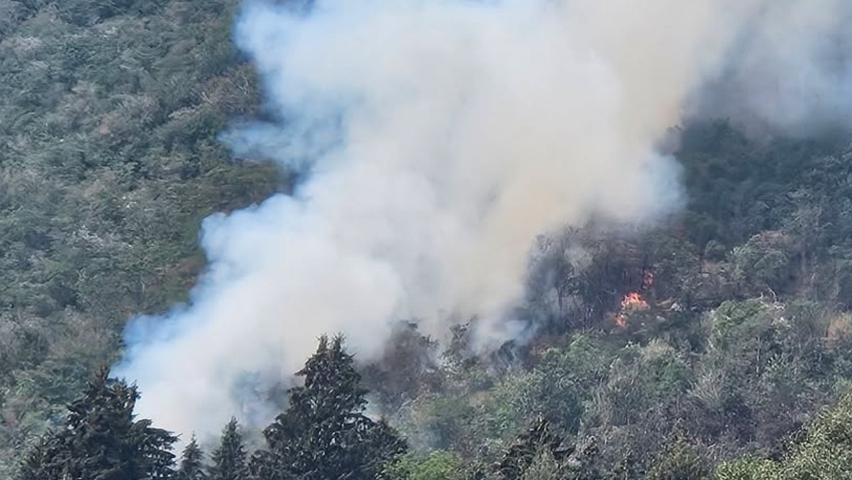 Carnia sotto assedio, nuovo fronte d’incendio sul Monte Dobis - 