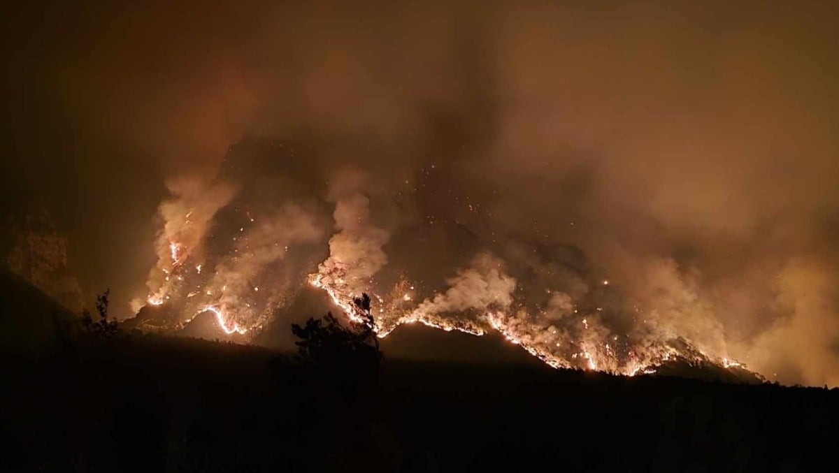 Incendi in Carnia, Zalukar porta il confronto sulla prevenzione: «In Friuli Venezia Giulia manca un piano aggiornato» - 