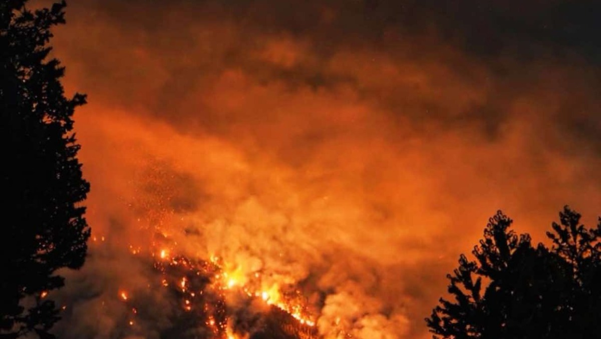 Nuovo incendio a Forni di Sopra, focolaio da fulmine sul Cimacuta - 