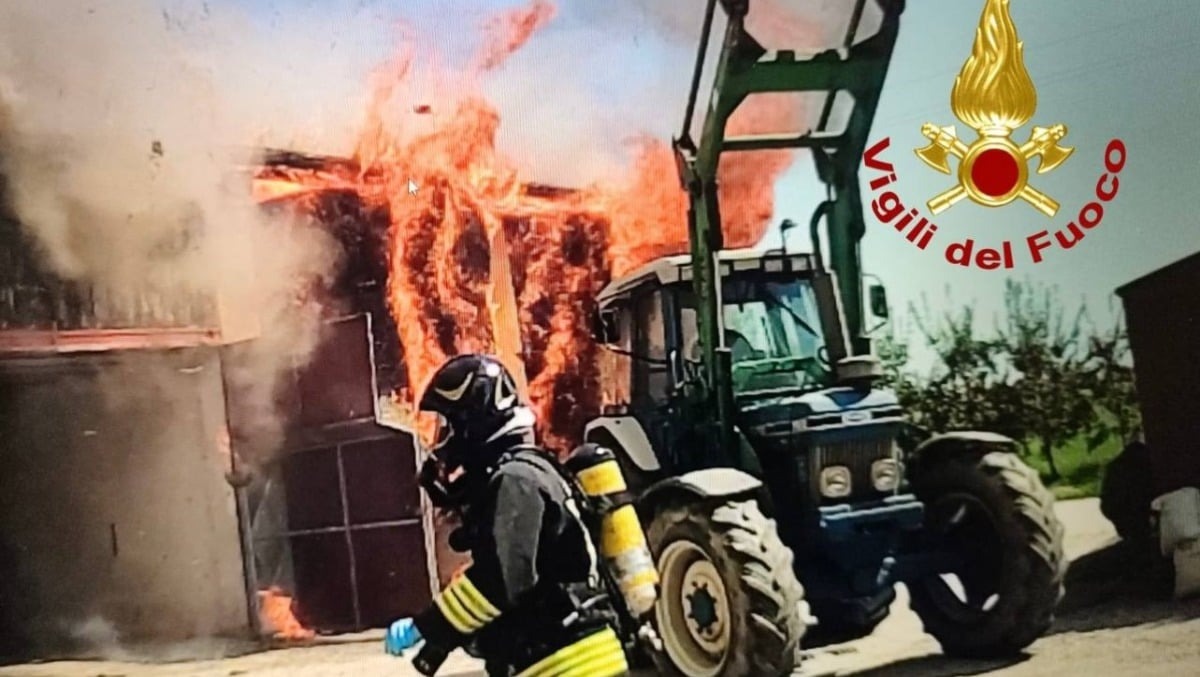 Camisano Vicentino, vasto rogo in un’area agricola: salvate abitazione e zona per il bestiame - 