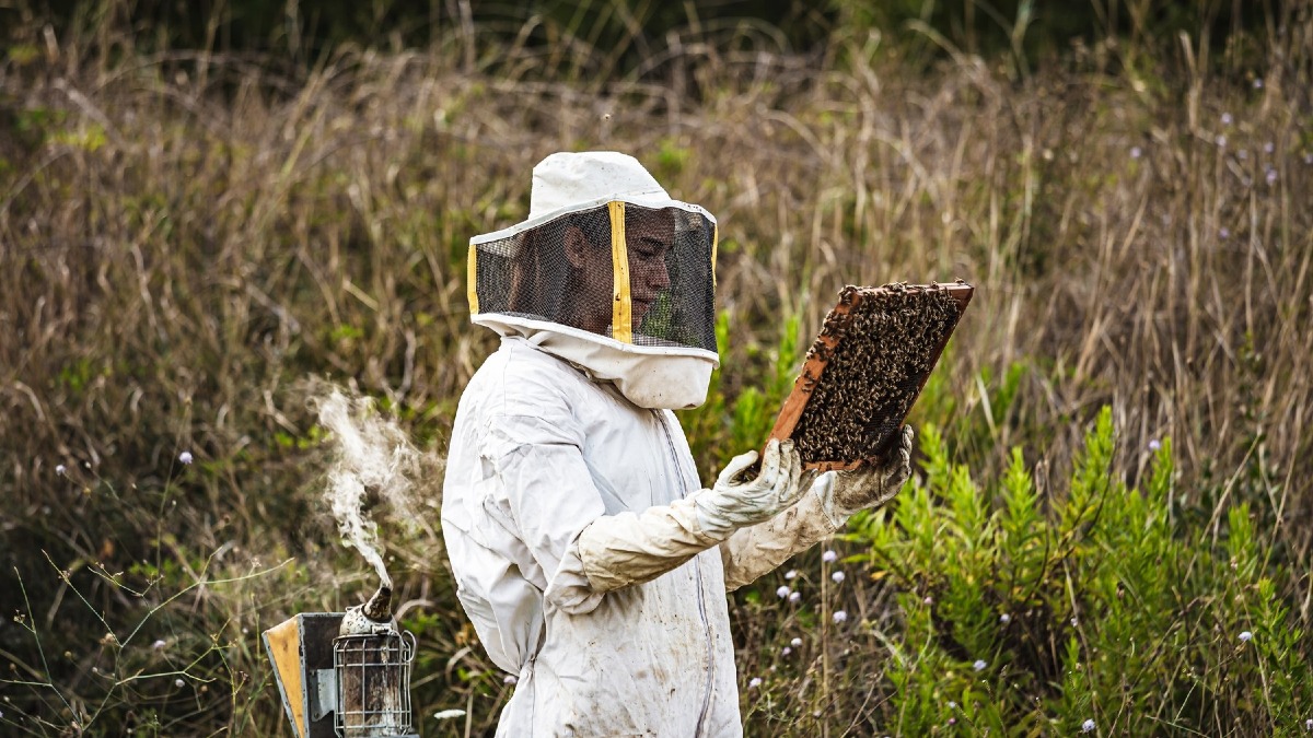 L’Alveare Parlante, aperto il bando nazionale per 20 aziende apistiche italiane - 