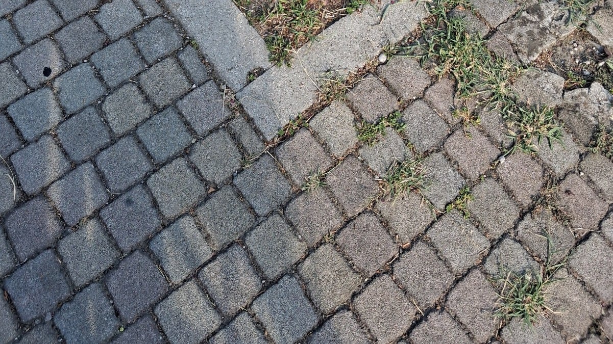 Zero Branco, segnalate asfaltature irregolari e strisce scomparse: appello sulla sicurezza - 