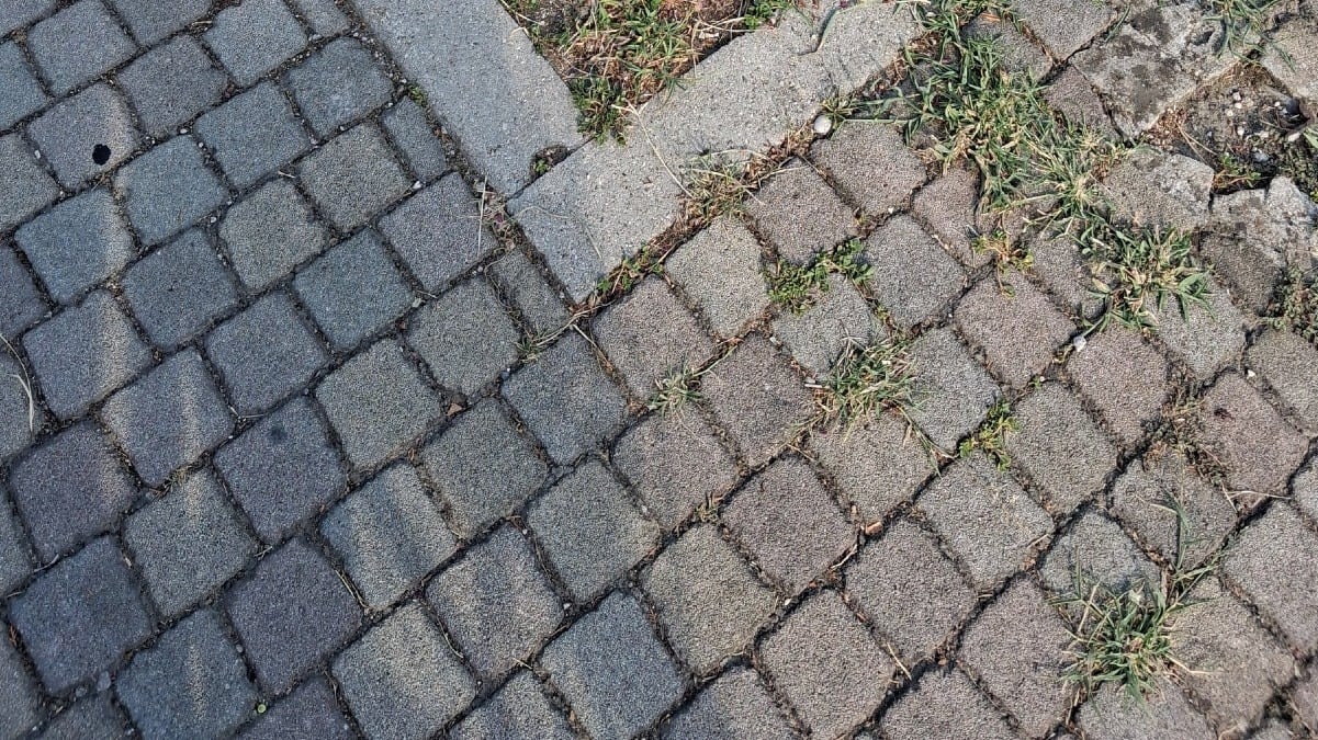 Zero Branco, dal centro a Sant’Alberto le osservazioni di Spolaore: strade, segnaletica e alberi nel mirino - 
