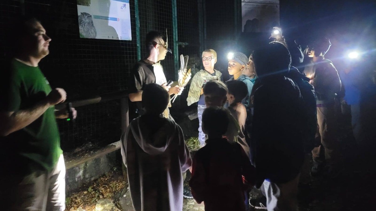 Cornino, il 22 agosto torna la Notte da gufi per bambini alla Riserva naturale - 