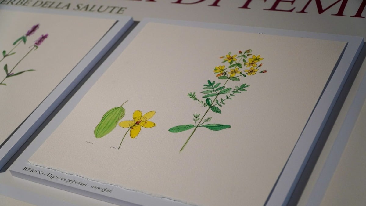 Tolmezzo, al Museo Carnico una mattina tra colori e fiabe: laboratorio per bambini il 20 agosto - 