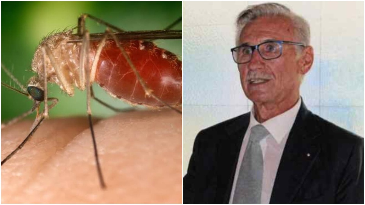Lorenzo Corradin non ce l’ha fatta: morto dopo l’infezione da West Nile - 