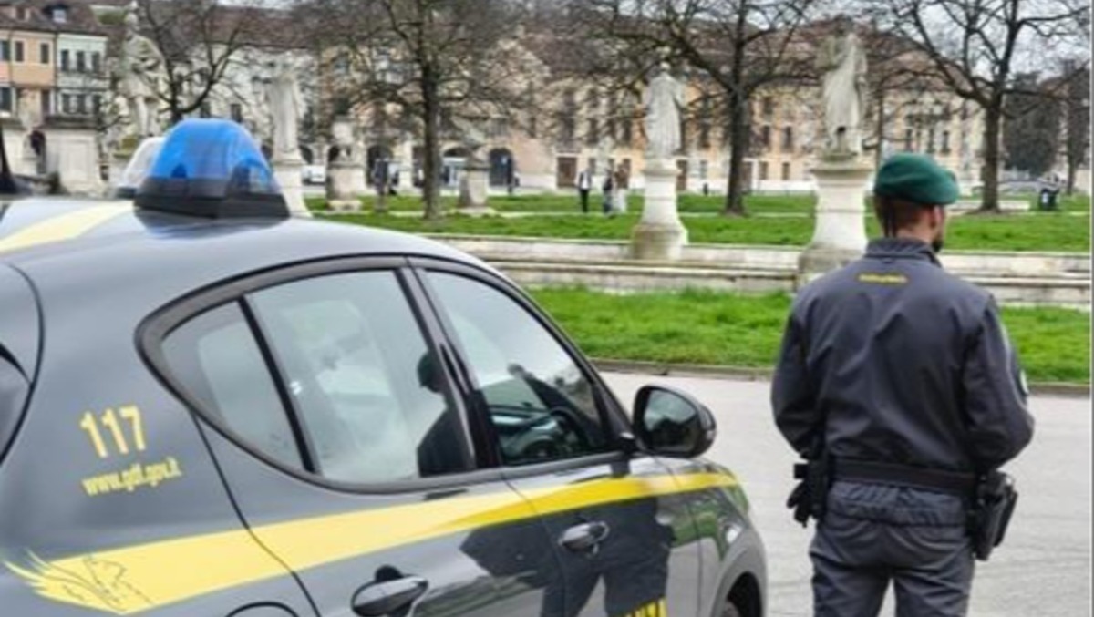 Parte per la stagione da cameriere, ma il cane antidroga Penny fiuta qualcosa nel borsone | VIDEO - 