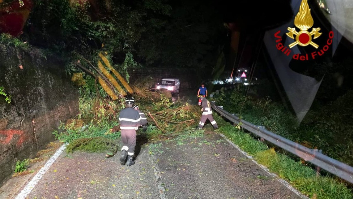 Temporali e vento forte nel Vicentino, raffica di chiamate al 115: 25 interventi nella notte - 