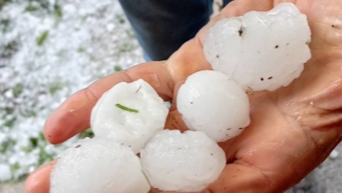 Violenti temporali, grandine e alberi abbattuti: il maltempo travolge il Trentino - 
