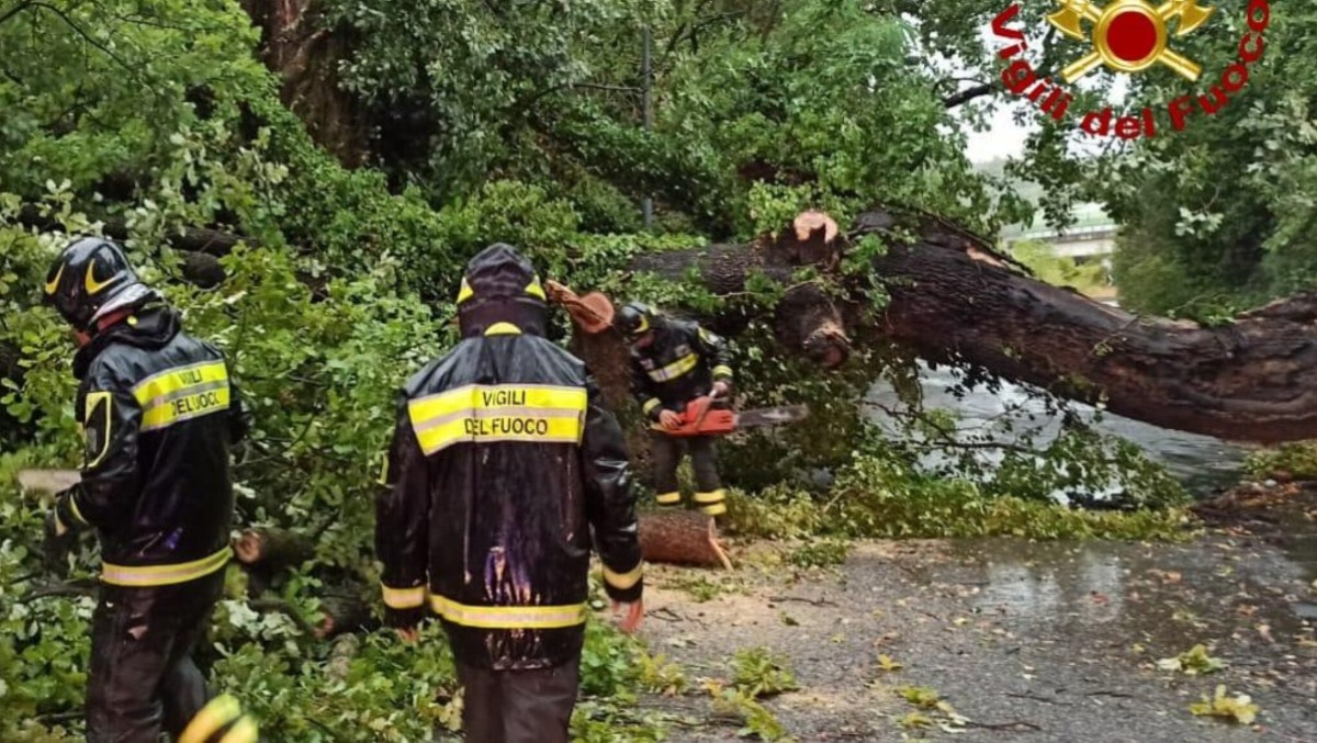 Maltempo in Friuli, il Bollettino: "112 mm a Moggio e raffiche a 120 km/h sullo Zoncolan"
