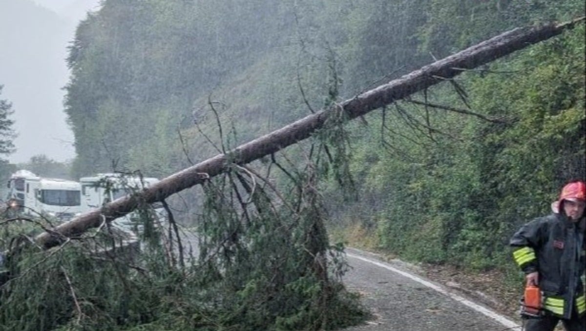 Temporali nel Bellunese, viabilità sotto pressione tra Longarone e Agordino - 