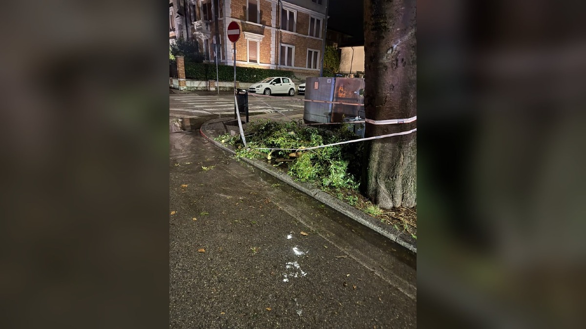 Maltempo a Udine, rami caduti e caditoie ripulite: nessun danno grave in città - 