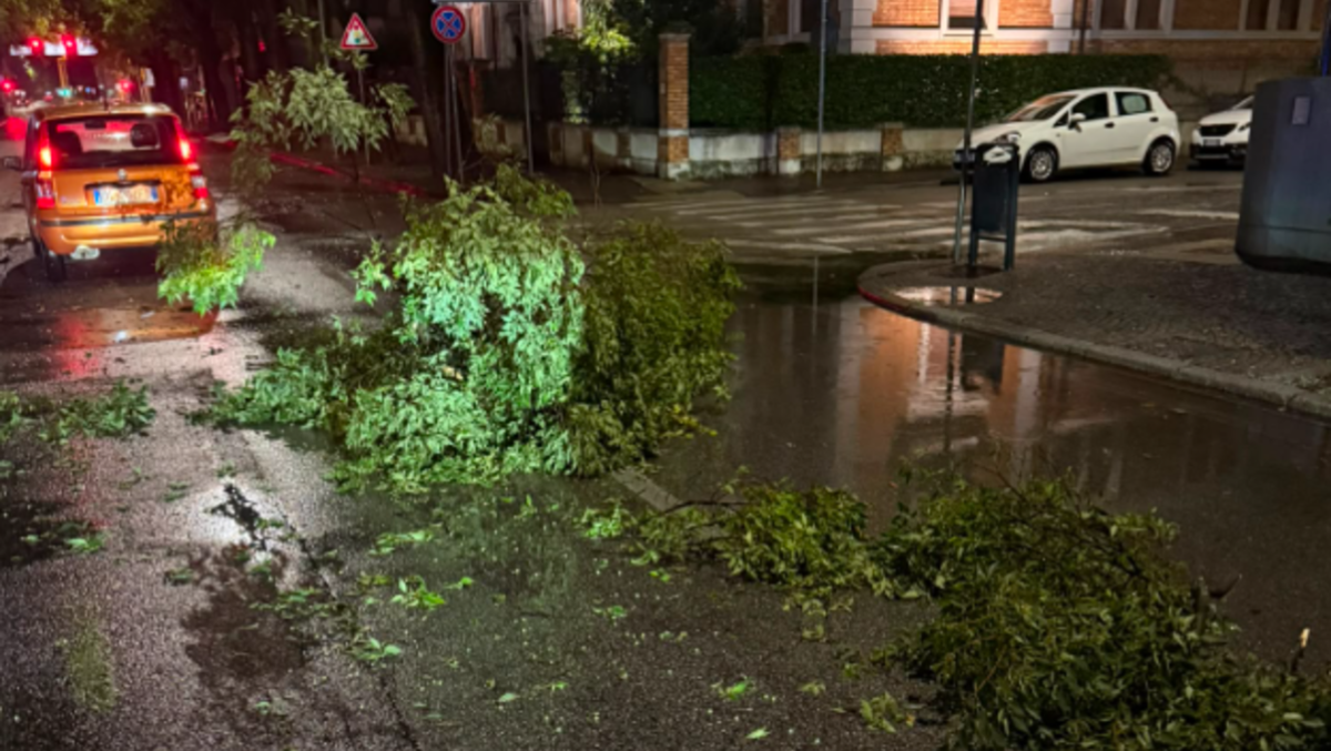 Raffiche di vento e pioggia su Udine: rami caduti, Protezione civile al lavoro - 