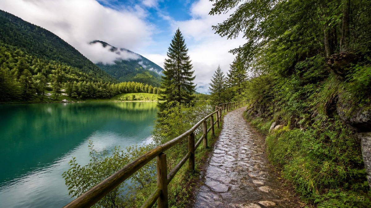5 passeggiate facili dopo la pioggia tra FVG e Bellunese: tempi, parcheggi e sentieri - 
