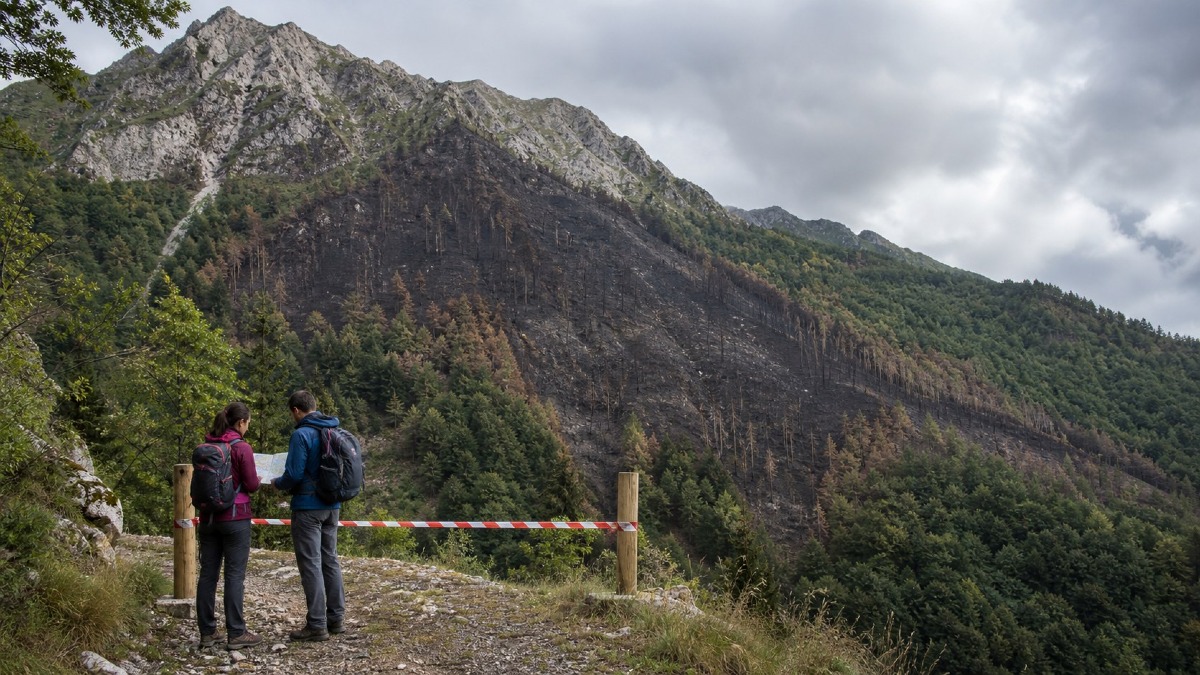 Amariana dopo l'incendio: si può già salire? Sentieri e strade da controllare - 