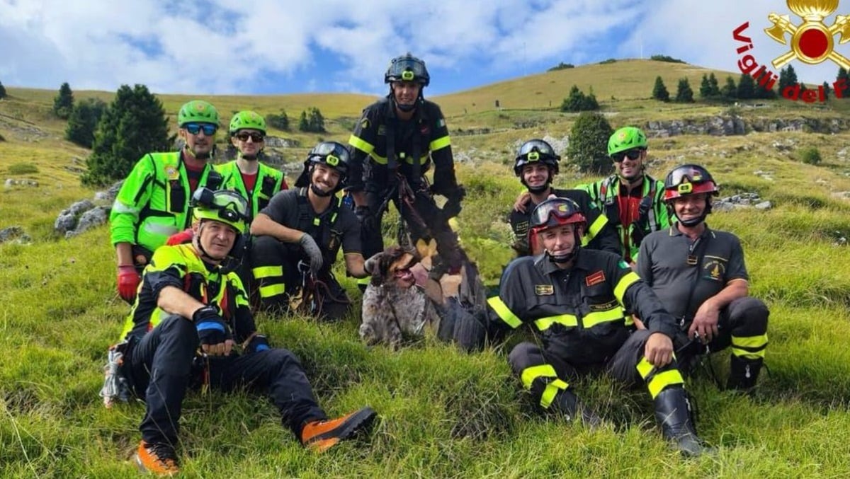 Pieve del Grappa, cane recuperato in una forra: decisivi specialisti SAF ed elicottero - 