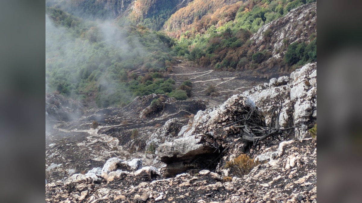 Monte Amariana, sentieri chiusi dopo l’incendio: CAI Tolmezzo segnala percorsi pericolosi - 