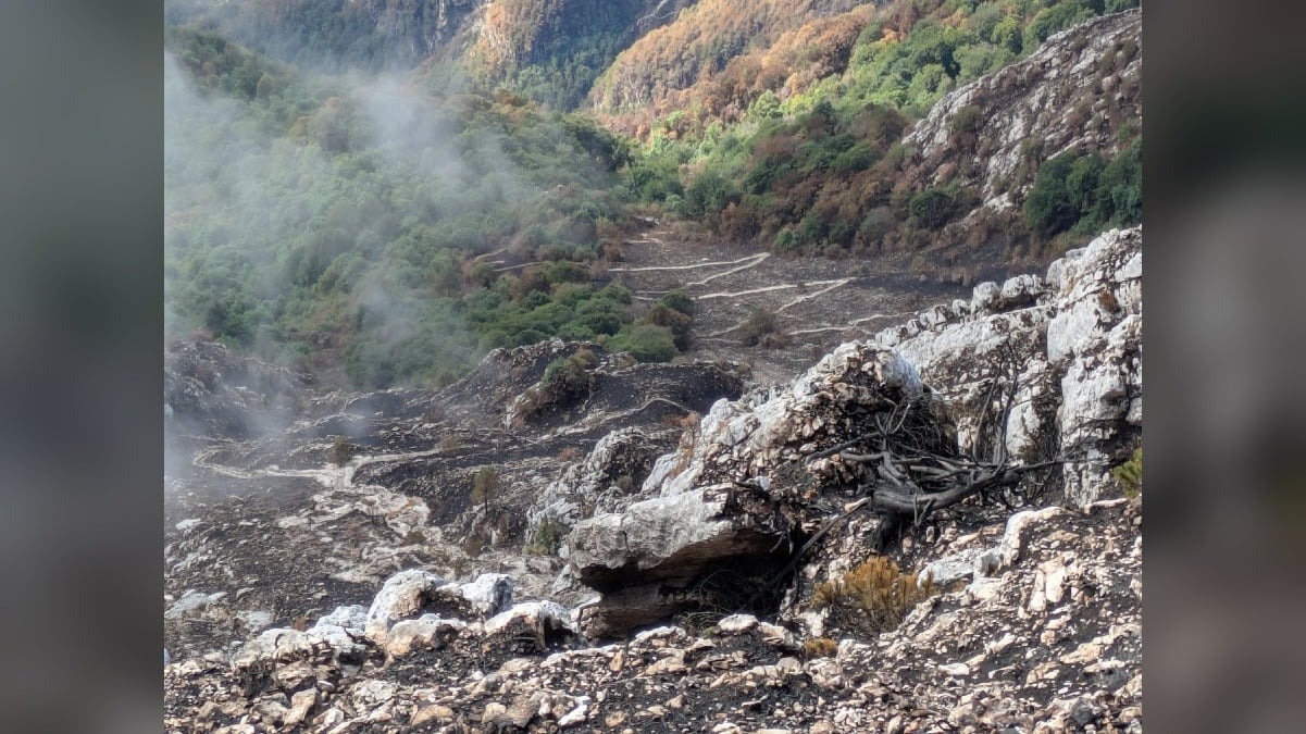 Monte Amariana, accessi da evitare: il CAI di Tolmezzo conferma criticità sui sentieri dopo il rogo