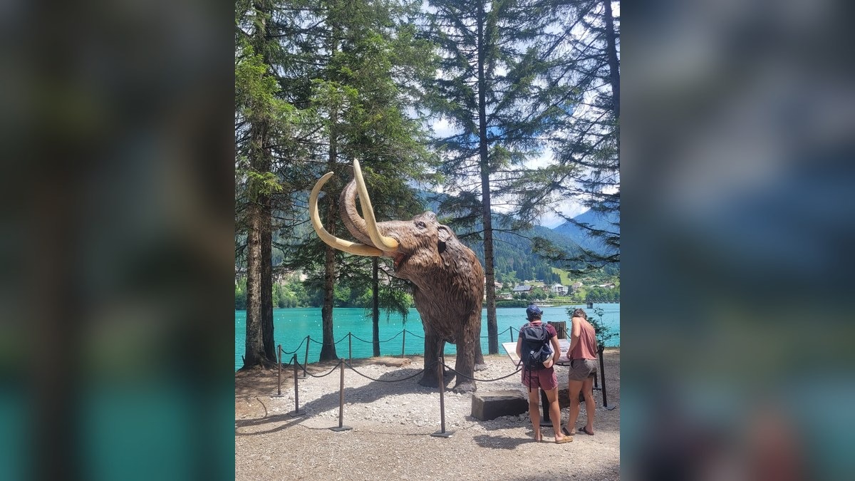 Auronzo, la mostra dai dinosauri ai mammut resta aperta fino al 30 settembre - 