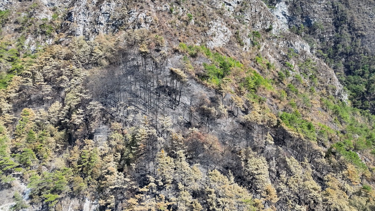 Incendi boschivi, in Friuli Venezia Giulia finisce lo stato di massima pericolosità - 