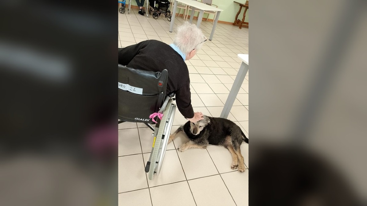 Pet therapy nelle RSA Sereni Orizzonti in Friuli Venezia Giulia: incontri settimanali con i cani - 