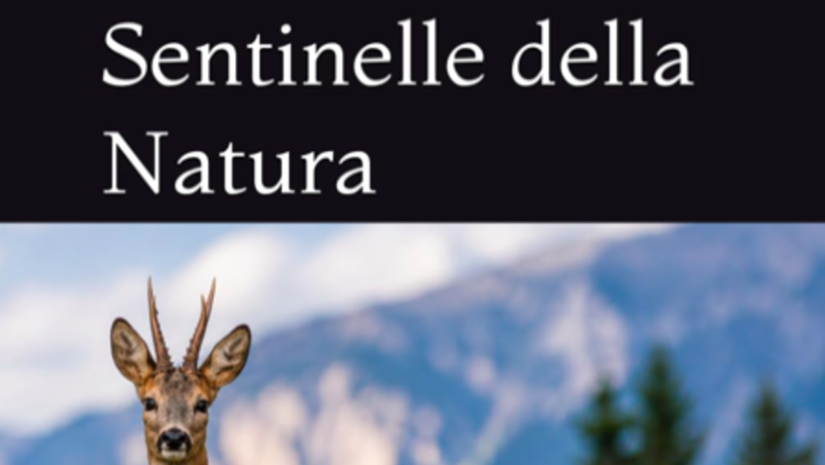 Animali, minacce e giustizia: Irene Giurovich torna con “Sentinelle della Natura” - 