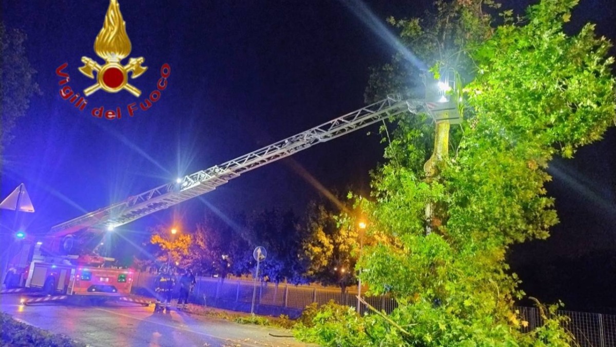 Violento maltempo nel Trevigiano: alberi abbattuti e oltre 25 interventi dei pompieri - 