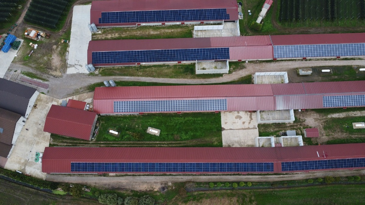Fotovoltaico sui tetti agricoli, White Energy Group ottiene fondi per 5 progetti da 1.665 kWp - 