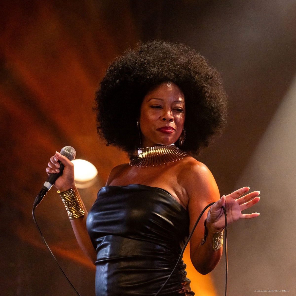 Carniarmonie, tre concerti in Carnia dal 4 al 6 agosto tra funk, mandolino e Barocco