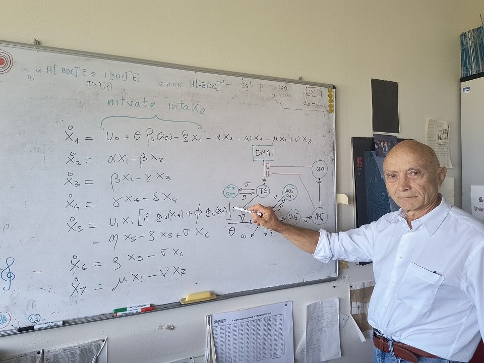 Franco Blanchini dell’Università di Udine eletto Fellow Ifac, tra 25 ogni triennio