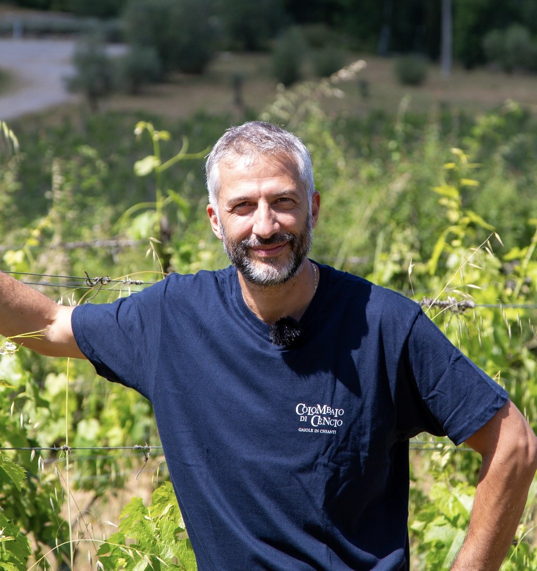Vendemmia 2026 anticipata, anche il Friuli tra le aree già pronte alla raccolta