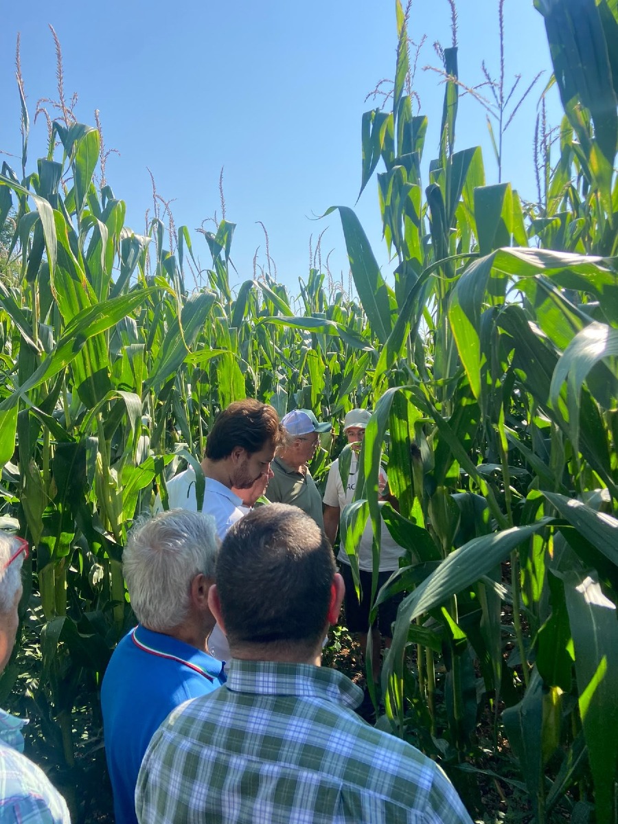 Pordenone, acqua e agricoltura: focus su irrigazione e siccità con il progetto SISSAR 2026