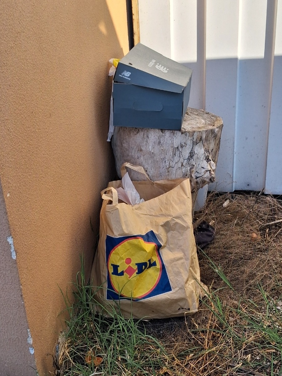 Raccolta rifiuti e taglio dell’erba in via P. Del Zoccolo a Pordenone