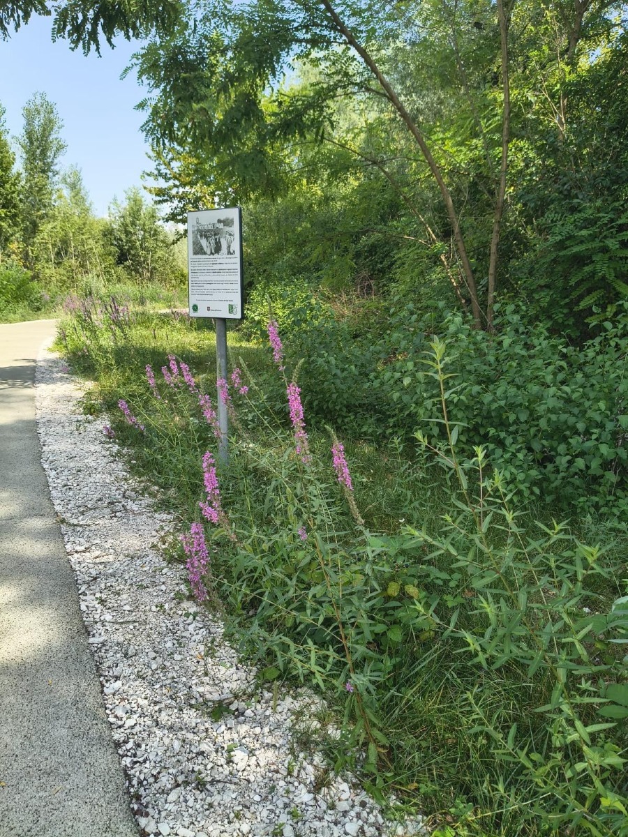 Pordenone estende Custodi di Equilibri al Sentiero delle Operaie