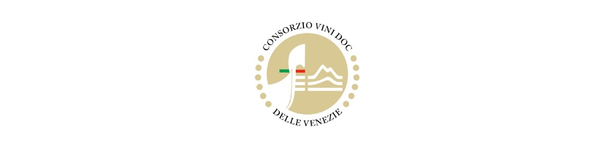 Pinot Grigio Delle Venezie, vendemmia 2026 al via su 27 mila ettari