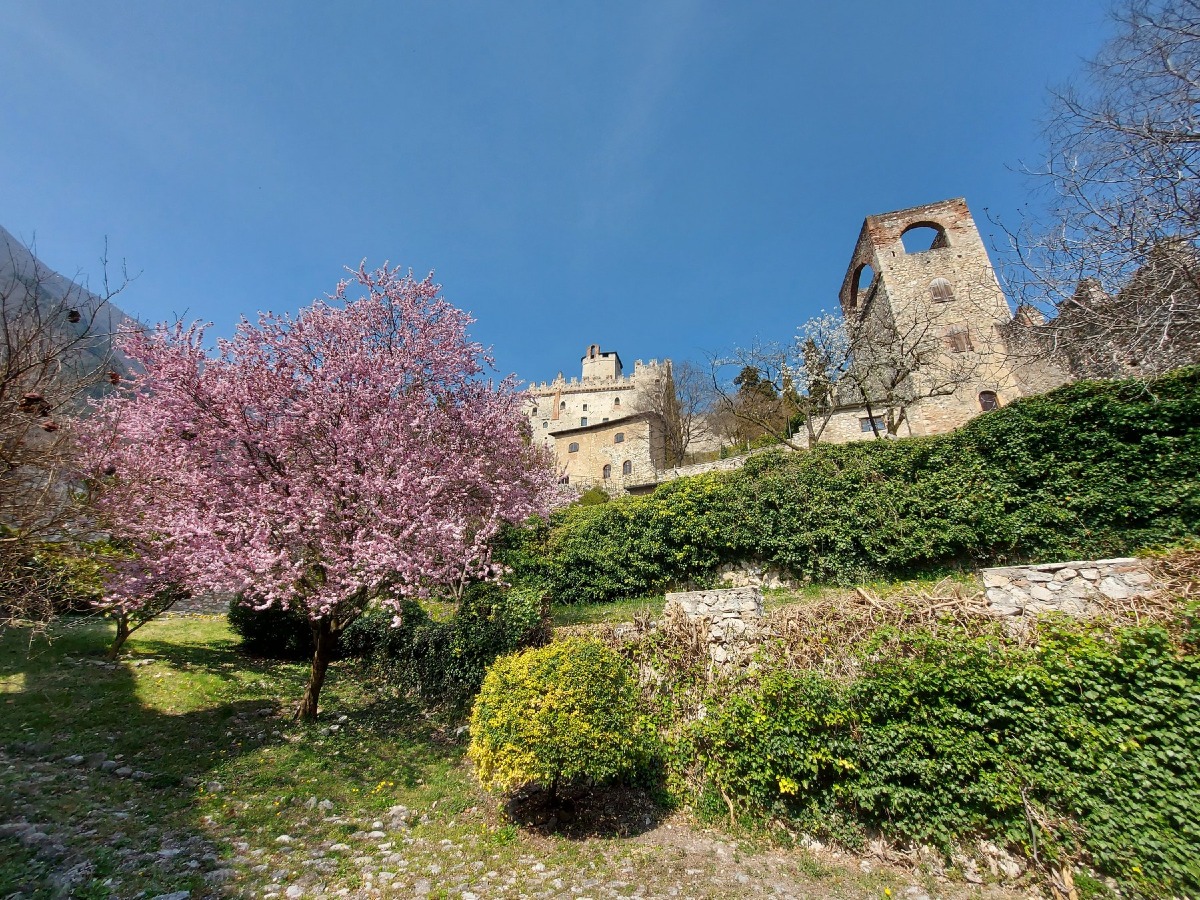I Solisti Veneti per il FAI 2026: dal Castello di Avio a Milano, sette tappe fino al 2