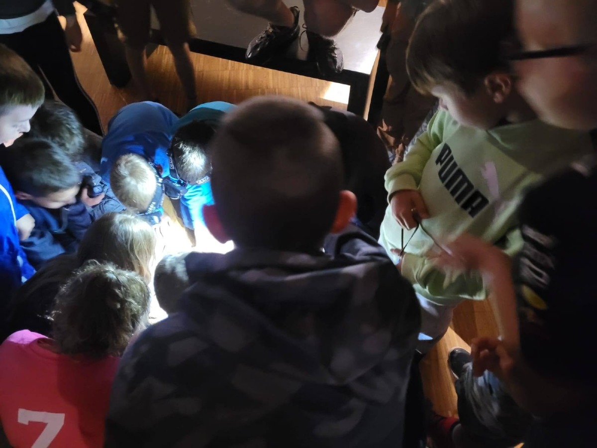 Cornino, il 22 agosto torna la Notte da gufi per bambini alla Riserva naturale