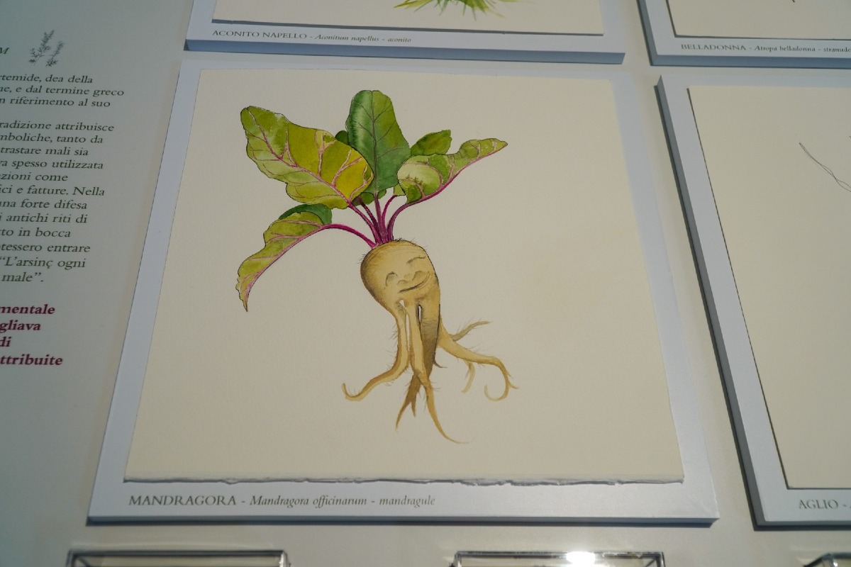 Tolmezzo, laboratorio di acquerello per bambini al Museo Carnico il 20 agosto