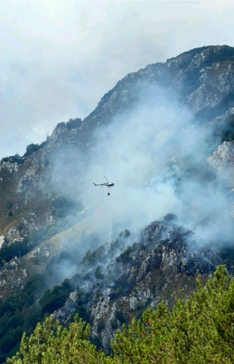 Incendio M.te Forchiadice, Moggio Udinese