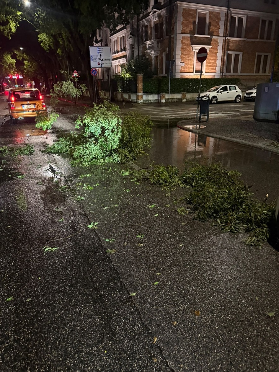 Maltempo a Udine, rami caduti e caditoie ripulite: nessun danno grave in città