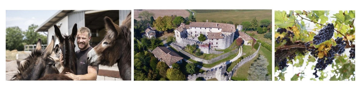 Festival dei Tiepolo 2026, a settembre quattro appuntamenti nelle dimore storiche friulane