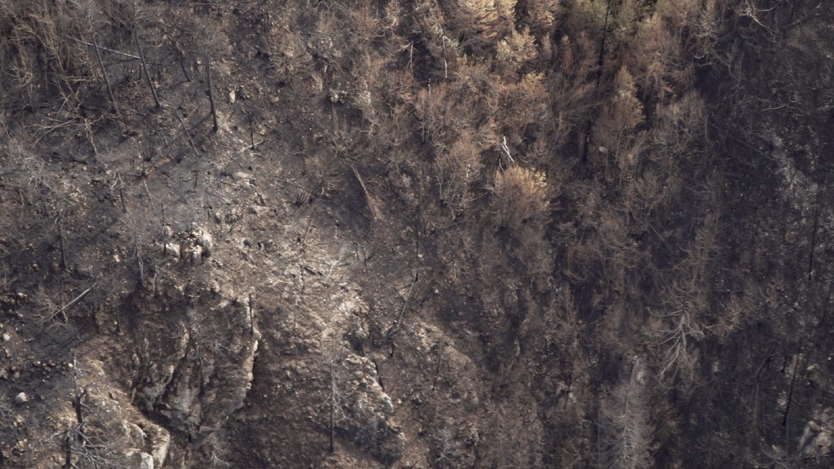 Incendio sul Monte Amariana, in Carnia quasi 3 milioni di litri d’acqua per spegnere il