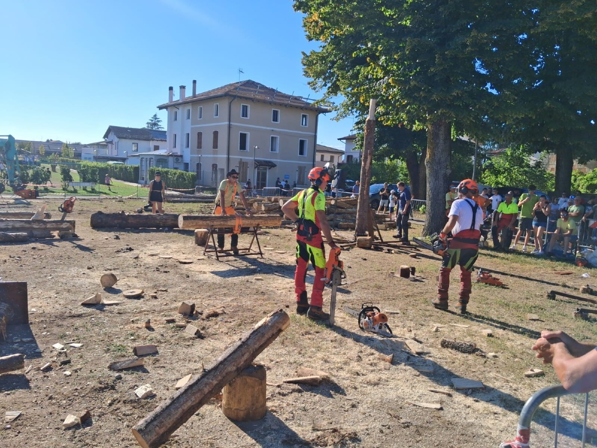 Festa del Boscaiolo a Rivignano, terza edizione con concorrenti da 5 Paesi