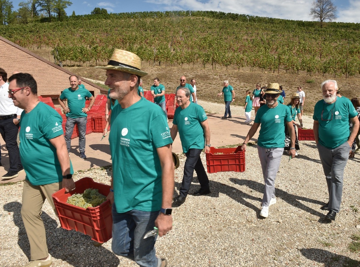 Vendemmia turistica in Friuli Venezia Giulia, le cantine aperte tra settembre e ottobre
